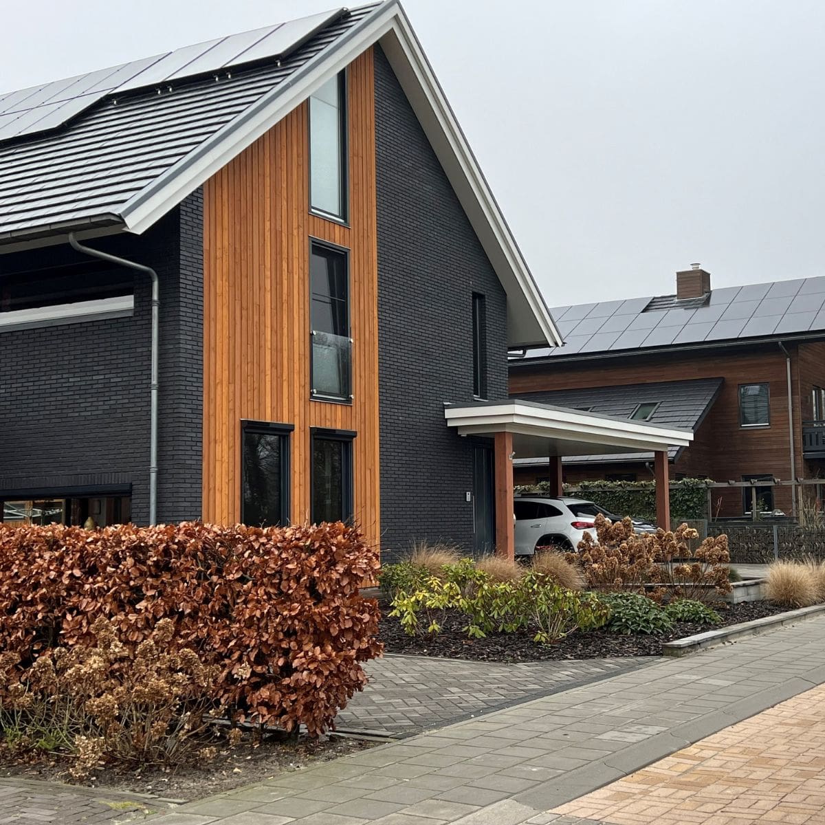 levande drachten woning hout met steen